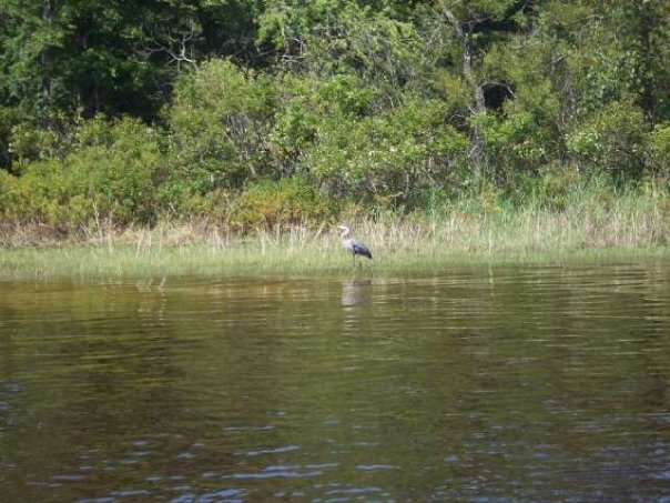 Saco Lake