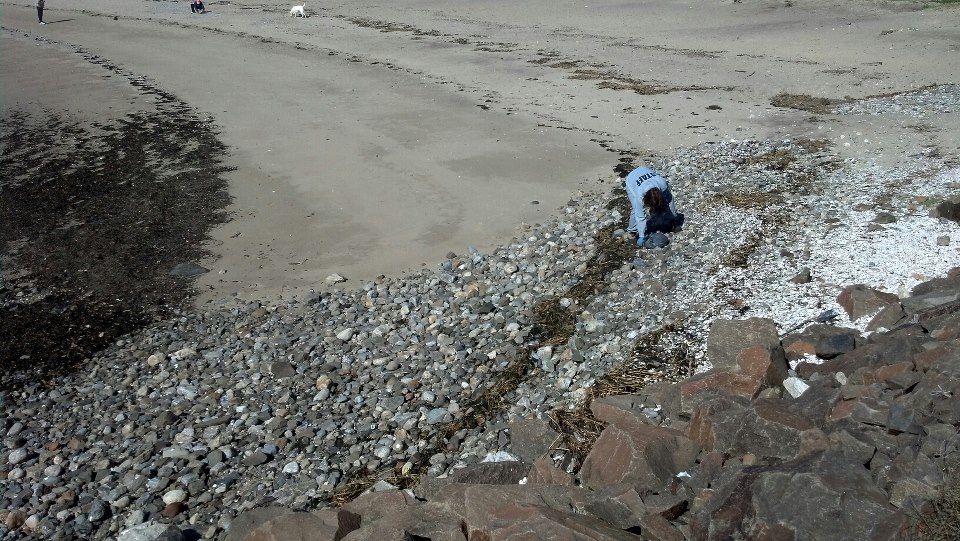 Sherwood Island, Westport, Connecticut